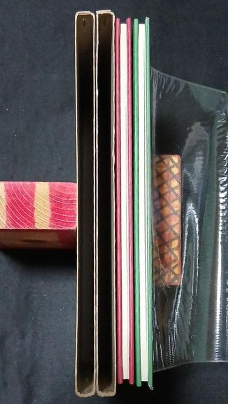 値下げ【全初版】桶谷式乳房管理法の実際　Ⅰ実技編　Ⅱ実技詳解説編　桶谷そとみ