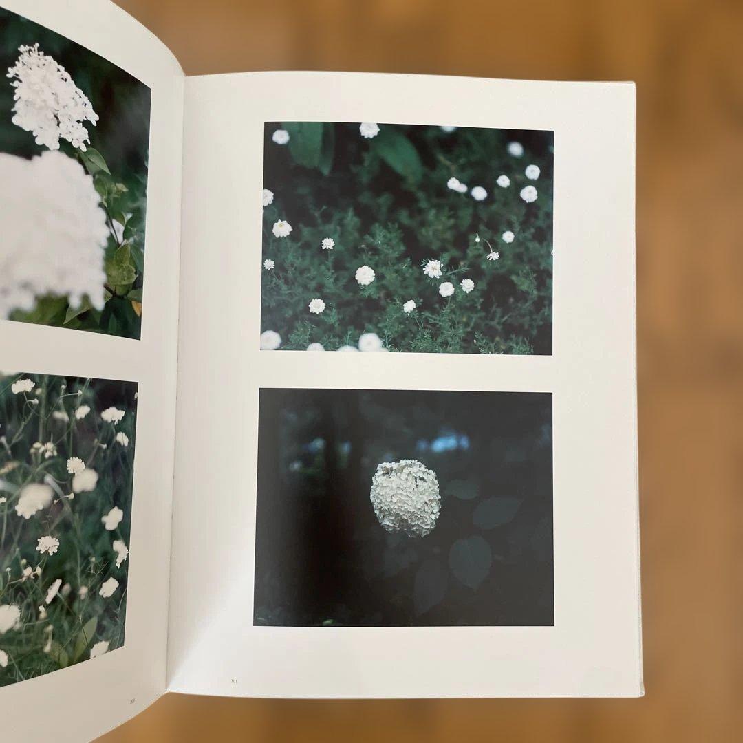 鈴木理策「Stream of consciousness」写真集