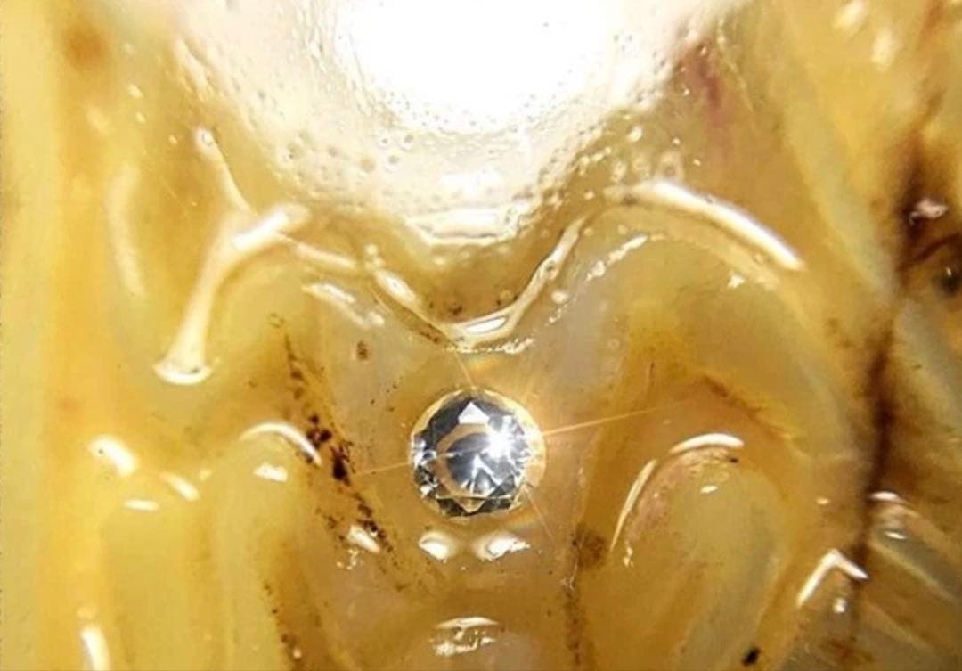 【限定1】超レア品 ラスト1点チャームロケットオーガズムの元祖 プラクルアン