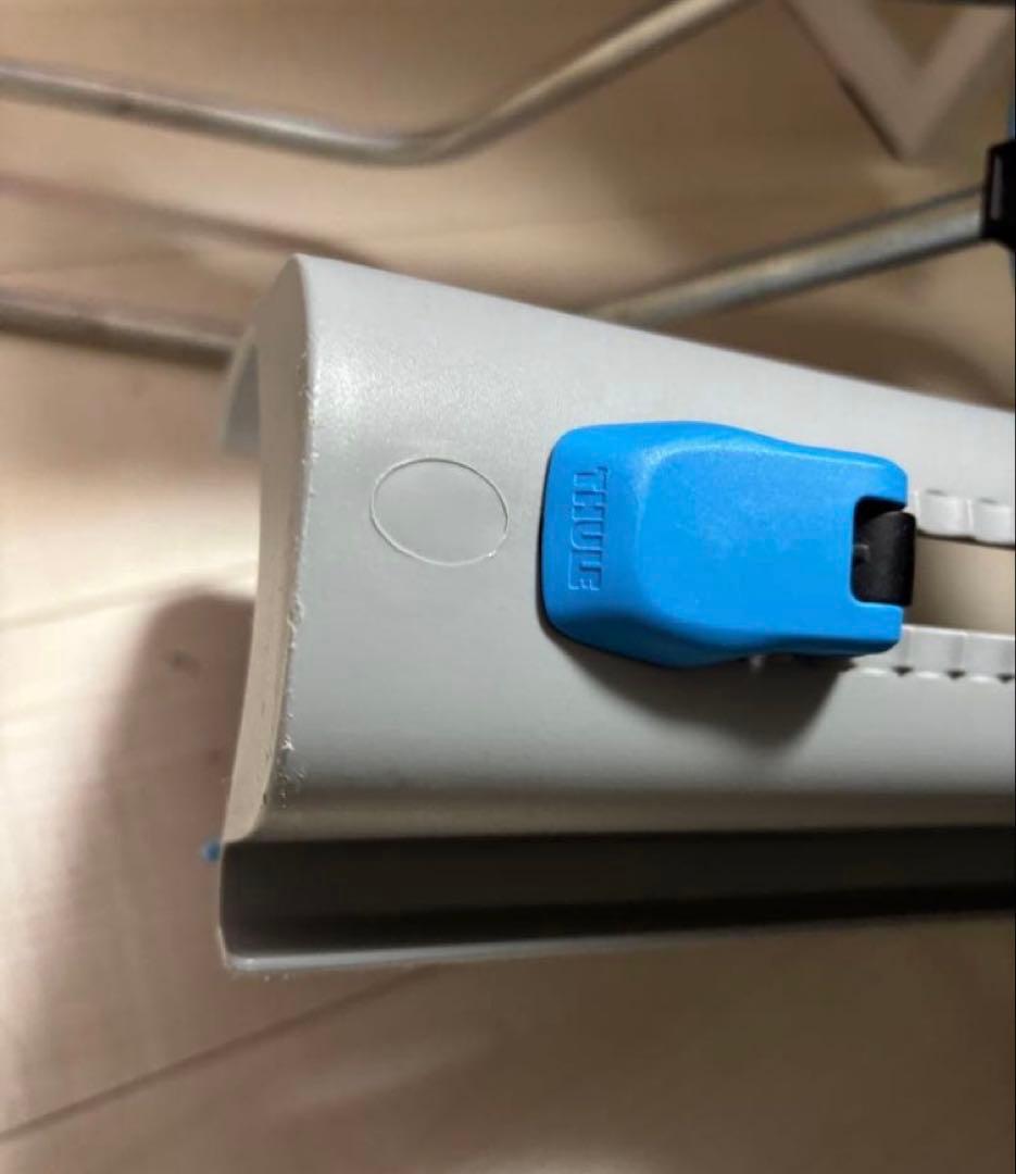 THULE RideAlong 自転車用チャイルドシート