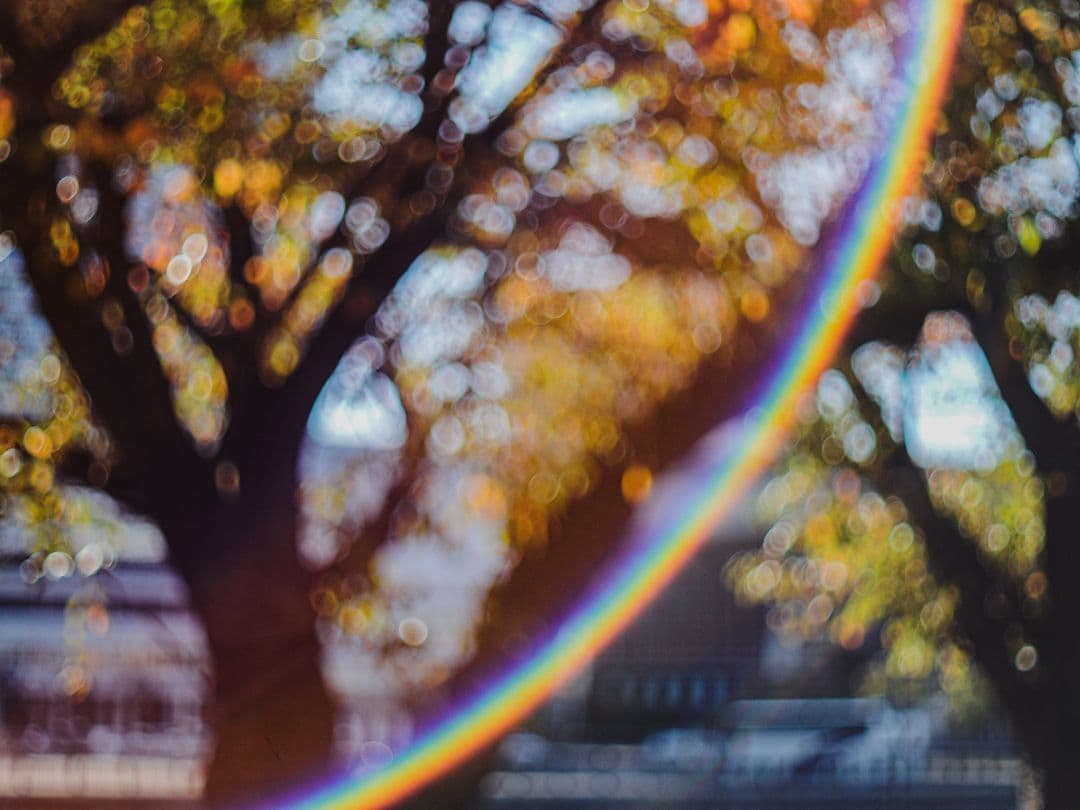 OLYMPUS H.ZUIKO 42mm F1.2 PEN Fマウント